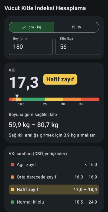 BMI Calculator 4